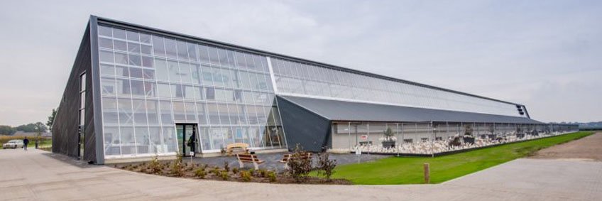 This solar-powered Dutch poultry farm specializes in 'carbon-neutral' eggs This solar-powered Dutch poultry farm specializes in 'carbon-neutral' eggs