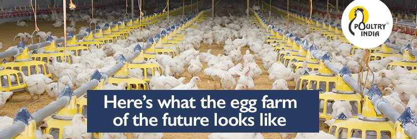 Here’s what the egg farm of the future looks like Here’s what the egg farm of the future looks like