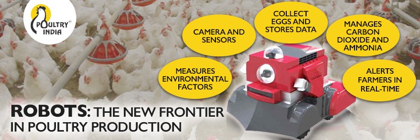 Robots: the new frontier in poultry production Robots: the new frontier in poultry production