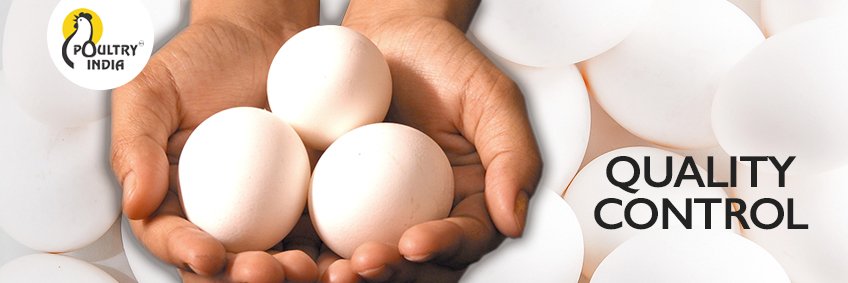 Quality control in egg production Quality control in egg production