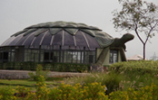 Hyderabad Botanical Gardens