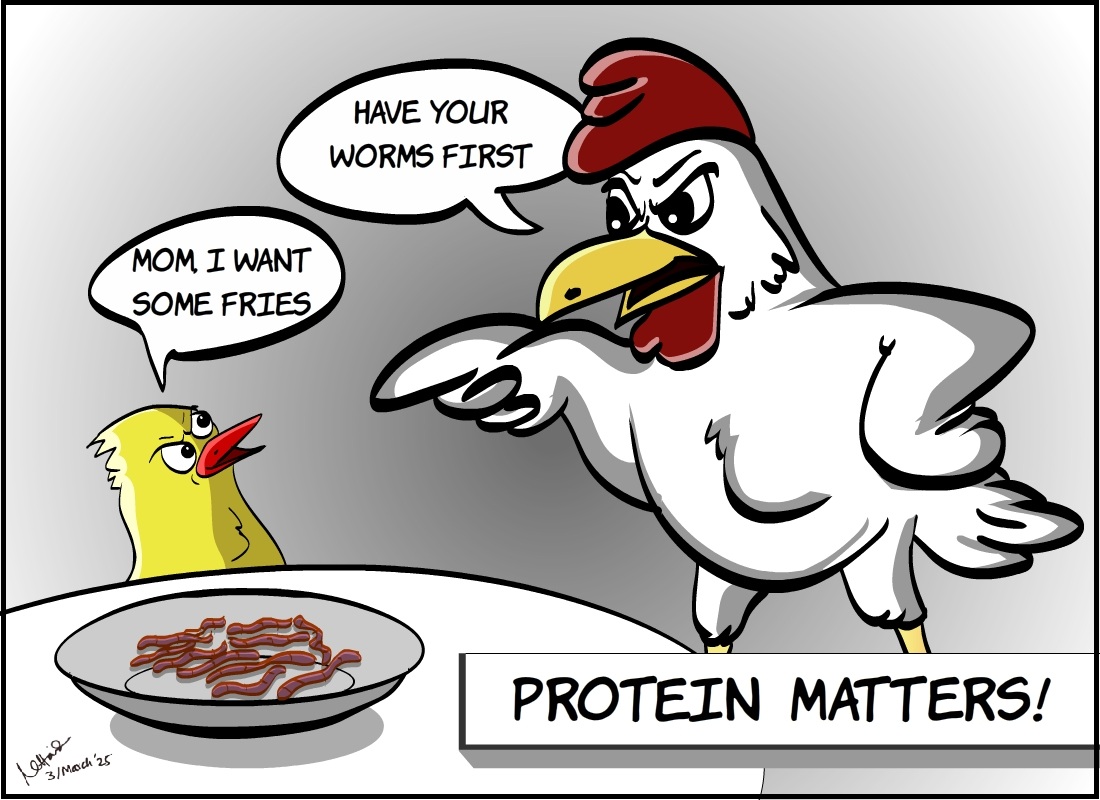 https://www.poultryindia.co.in/media/March-Cartoon.jpeg