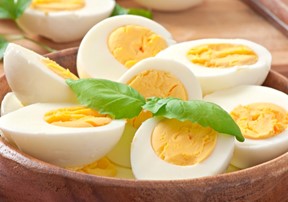 egg day 2