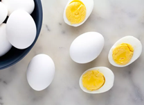egg day 1