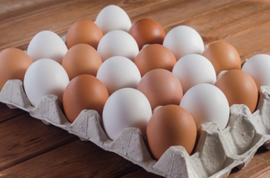 https://www.poultryindia.co.in/media/Worlds-egg-organization.png