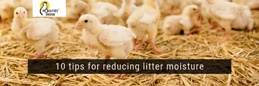 10 tips for reducing litter moisture