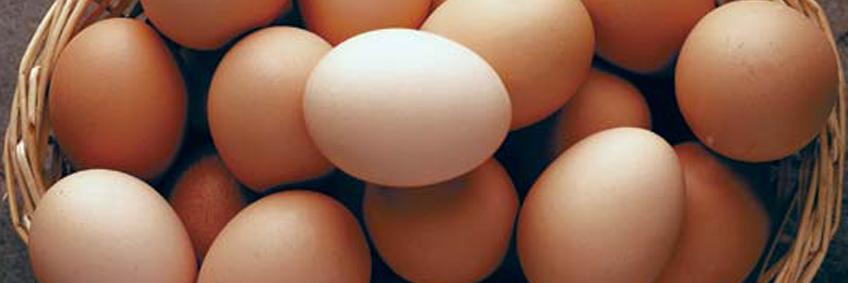 Opinion: Move Over, Kale - Eggs Are the Food of the Future