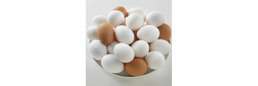 Saudi Arabia’s Table Egg Production Exceeds 8 Billion Eggs in 2024 Saudi Arabia’s Table Egg Production Exceeds 8 Billion Eggs in 2024