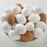Saudi Arabia’s Table Egg Production Exceeds 8 Billion Eggs in 2024