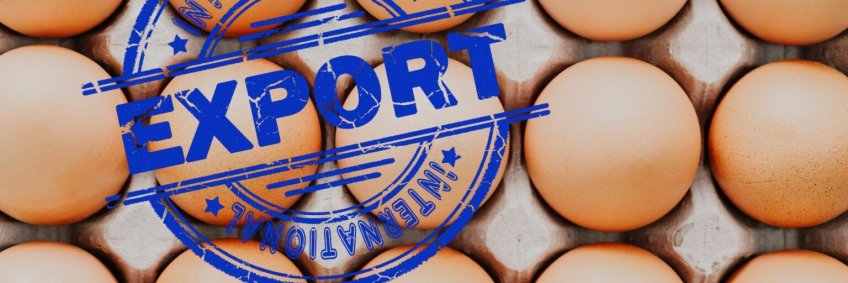Russia expands egg exports in a bid to mitigate oversupply crisis Russia expands egg exports in a bid to mitigate oversupply crisis