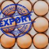 Russia expands egg exports in a bid to mitigate oversupply crisis