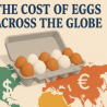 What The Worlds is Paying For Eggs