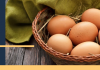 Andhra Pradesh top in egg production