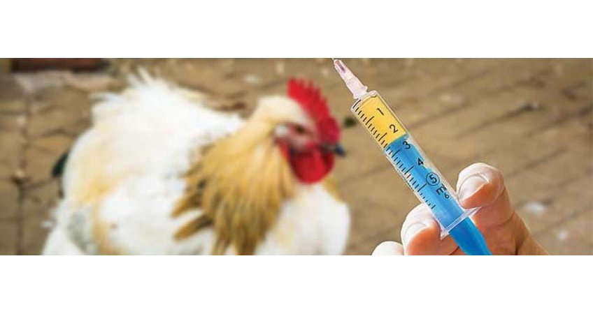 Reduce Clostridia to reduce its effects Reduce Clostridia to reduce its effects
