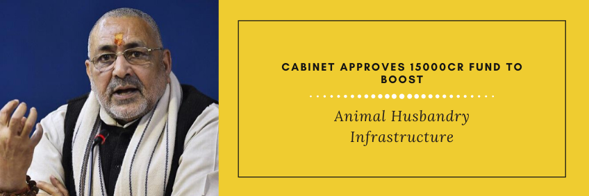 Cabinet Approves 15000cr Fund to Boost Animal Husbandry Infrastructure