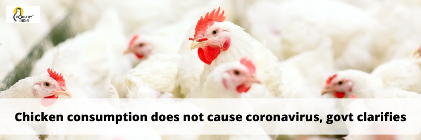 Chicken consumption does not cause coronavirus, Govt clarifies