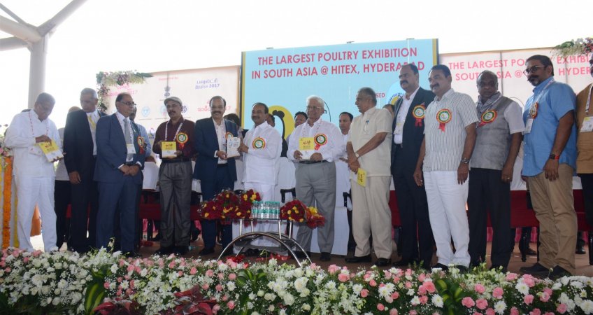 Union and state governments to lend poultry a stronger helping hand