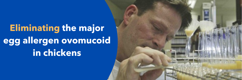 Eliminating the major egg allergen ovomucoid in chickens Eliminating the major egg allergen ovomucoid in chickens