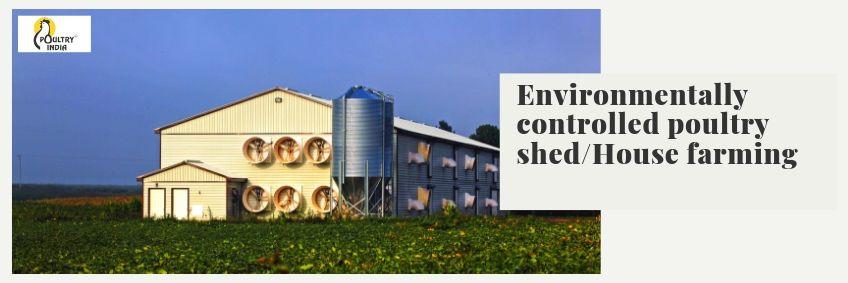 Environmentally controlled poultry shed/ House farming