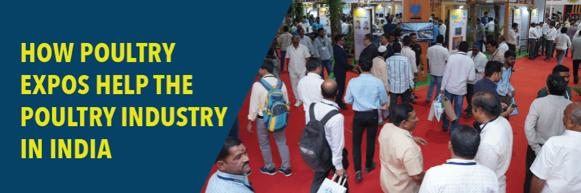How Poultry Expos Help the Poultry Industry in India How Poultry Expos Help the Poultry Industry in India