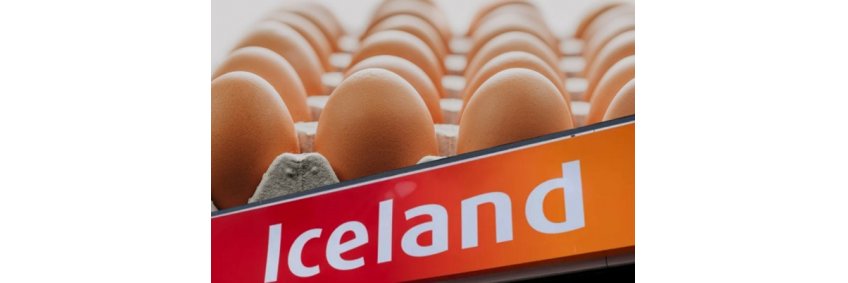 Iceland Super market to go completely cage-free across it egg supply by June 2027 Iceland Super market to go completely cage-free across it egg supply by June 2027