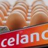 Iceland Super market to go completely cage-free across it egg supply by June 2027
