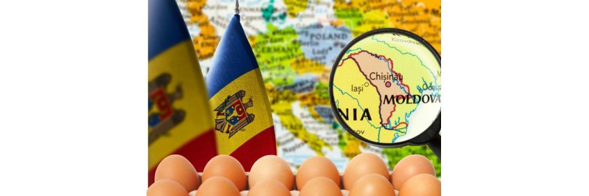 Moldova’s egg exports to Europe skyrocket