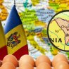 Moldova’s egg exports to Europe skyrocket