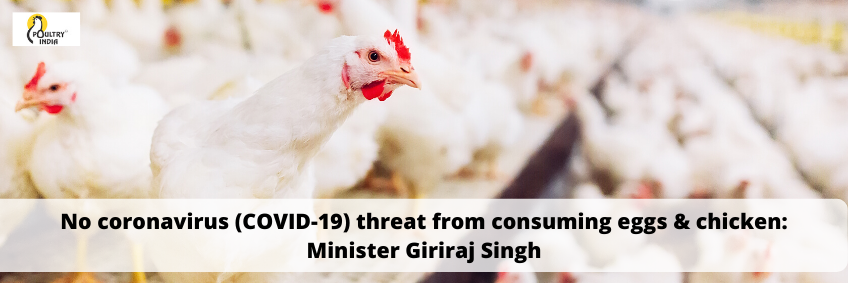 No coronavirus (COVID-19) threat from consuming eggs & chicken: Minister Giriraj Singh