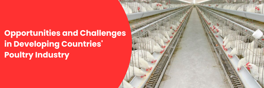 Opportunities and Challenges in Developing Countries' Poultry Industry Opportunities and Challenges in Developing Countries' Poultry Industry