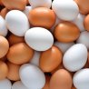 UK egg producers have called on food businesses and manufacturers to back British eggs