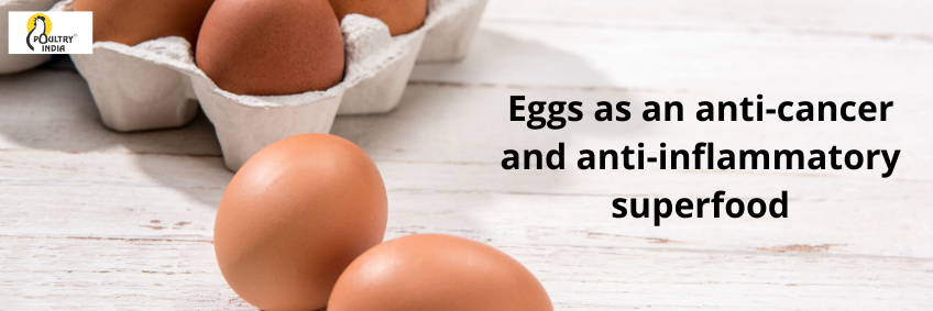Eggs as an anti-cancer and anti-inflammatory superfood