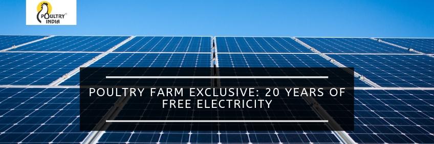 Poultry Farm Exclusive: 20 Years of Free Electricity