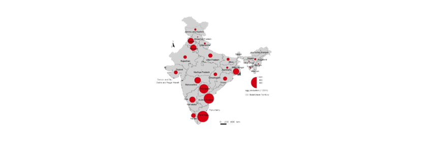 Maize Availability, Poultry Growth, and the Need for Policy Reforms