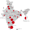 Maize Availability, Poultry Growth, and the Need for Policy Reforms