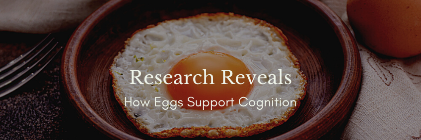 Research Reveals How Eggs Support Cognition Research Reveals How Eggs Support Cognition