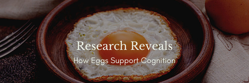 Research Reveals How Eggs Support Cognition