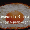 Research Reveals How Eggs Support Cognition
