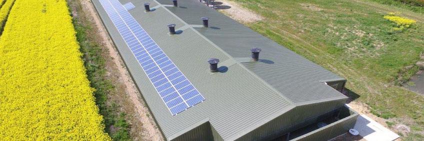 Broiler farmer turns to solar power for cost-effective electricity