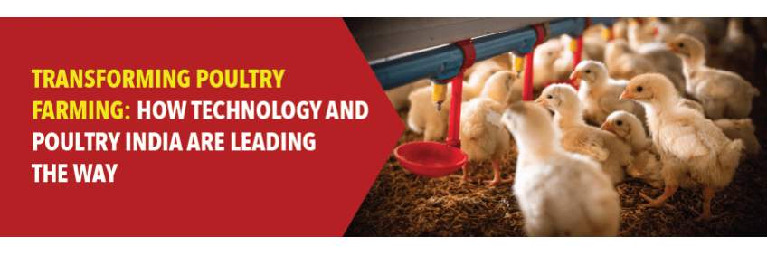 Transforming Poultry Farming: How Technology and Poultry India Are Leading the Way