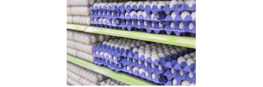 US to import millions of eggs from Turkey and South Korea to ease prices