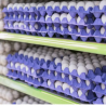 US to import millions of eggs from Turkey and South Korea to ease prices