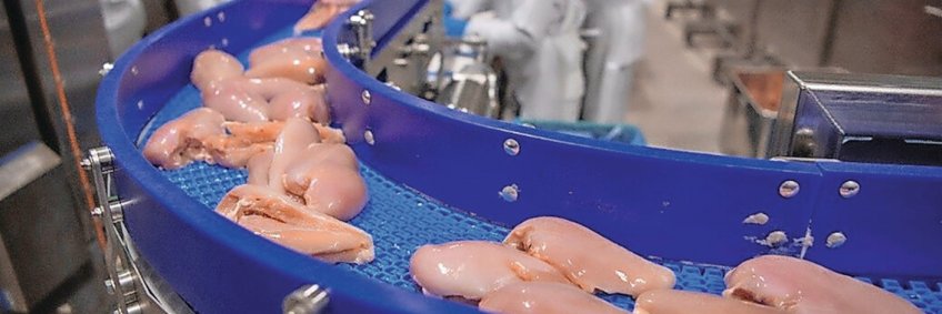 War shakes up poultry supply chains across the Middle East