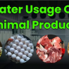 Water Usage in Animal Product Production: A Growing Concern
