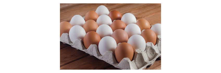 International Egg Commission Rebrands as World Egg Organisation International Egg Commission Rebrands as World Egg Organisation