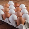 International Egg Commission Rebrands as World Egg Organisation