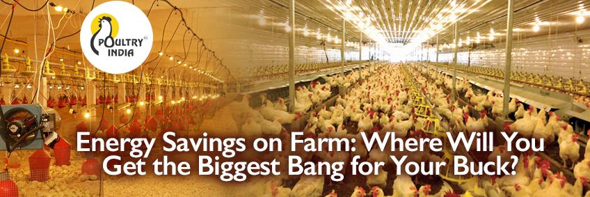 Energy Savings on Farm: Where Will You Get the Biggest Bang for Your Buck?