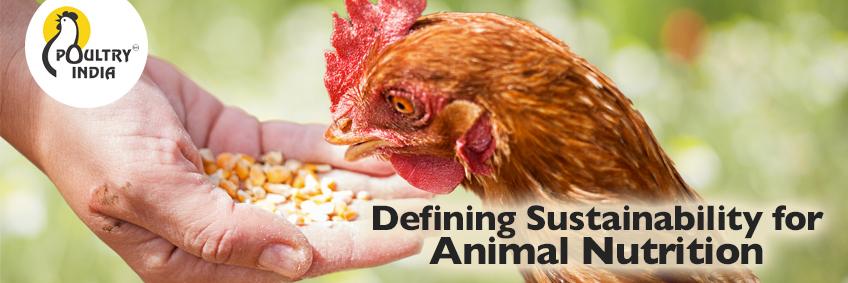 Defining Sustainability for Animal Nutrition