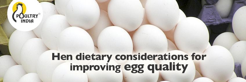Hen dietary considerations for improving egg quality