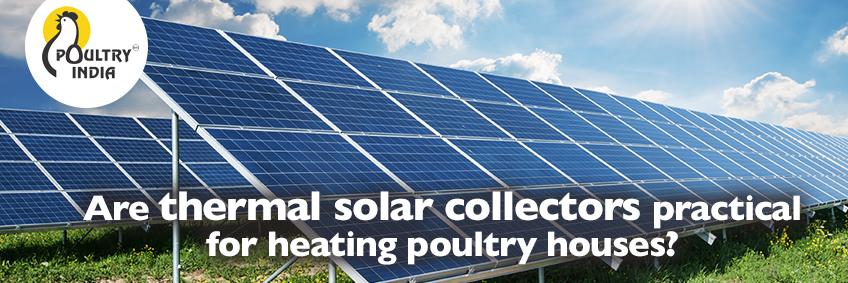 Are thermal solar collectors practical for heating poultry houses?
